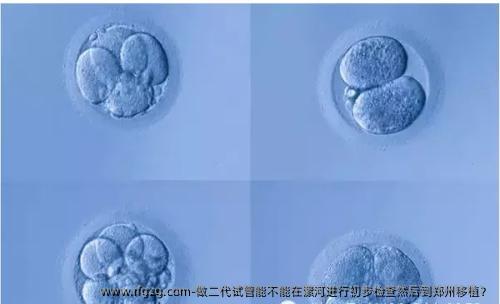 做二代试管能不能在漯河进行初步检查然后到郑州移植？