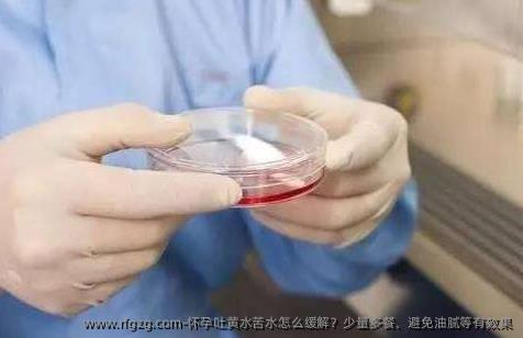 怀孕吐黄水苦水怎么缓解？少量多餐、避免油腻等有效果