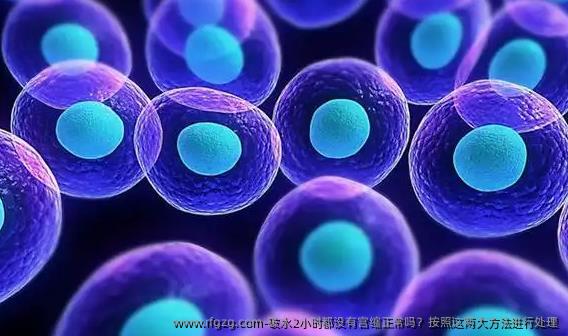 破水2小时都没有宫缩正常吗？按照这两大方法进行处理