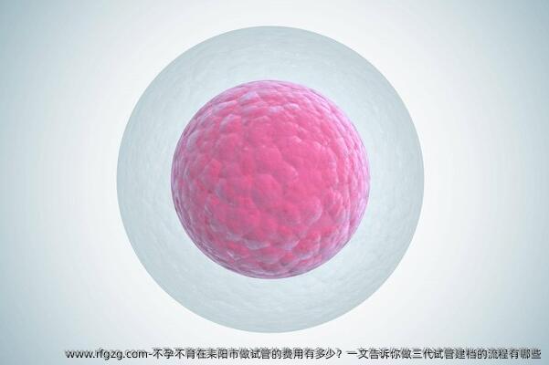 不孕不育在耒阳市做试管的费用有多少？一文告诉你做三代试管建档的流程有哪些