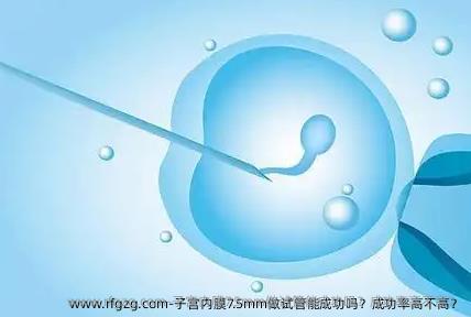 子宫内膜7.5mm做试管能成功吗？成功率高不高？