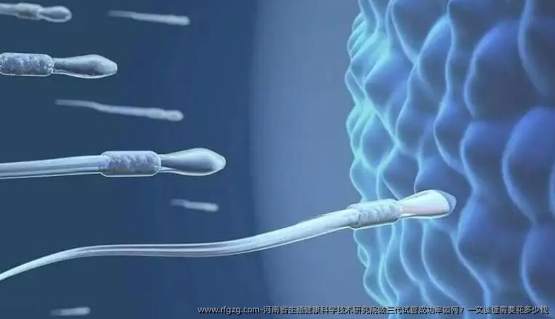 河南省生殖健康科学技术研究院做三代试管成功率如何？一文读懂需要花多少钱