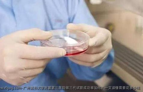 广州医科大学附属第三医院做三代试管成功率如何？一文读懂需要花多少钱