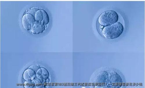 解放军第983医院做三代试管成功率如何？一文读懂需要花多少钱