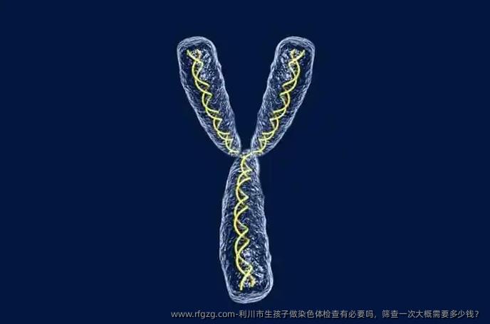 利川市生孩子做染色体检查有必要吗，筛查一次大概需要多少钱？