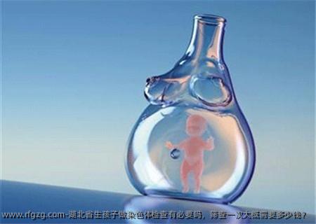 湖北省生孩子做染色体检查有必要吗，筛查一次大概需要多少钱？