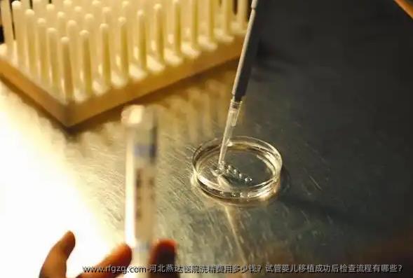 河北燕达医院洗精费用多少钱？试管婴儿移植成功后检查流程有哪些？