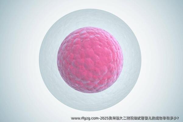 2025贵州医大二附院做试管婴儿的成功率有多少？