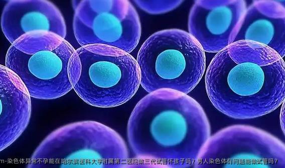 染色体异常不孕能在哈尔滨医科大学附属第二医院做三代试管怀孩子吗？男人染色体有问题能做试管吗？