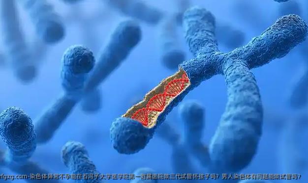 染色体异常不孕能在石河子大学医学院第一附属医院做三代试管怀孩子吗？男人染色体有问题能做试管吗？