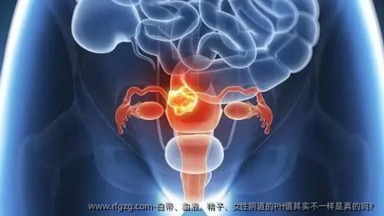 白带、血液、精子、女性阴道的PH值其实不一样是真的吗？