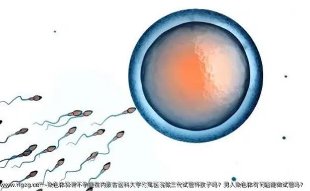 染色体异常不孕能在内蒙古医科大学附属医院做三代试管怀孩子吗？男人染色体有问题能做试管吗？