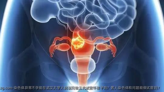 染色体异常不孕能在武汉大学人民医院做三代试管怀孩子吗？男人染色体有问题能做试管吗？