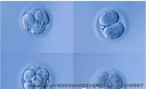 西昌正规医院试管婴儿收费标准盘点，准备这个数足够了