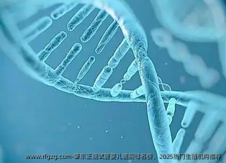 肇东正规试管婴儿医院排名榜，2025热门生殖机构推荐