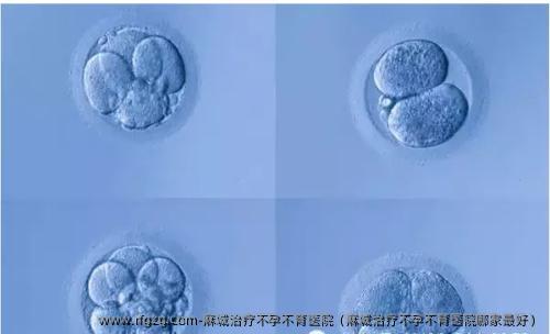 麻城治疗不孕不育医院（麻城治疗不孕不育医院哪家较好）