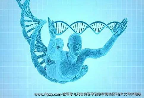 试管婴儿和自然受孕到底有哪些区别?本文带你揭秘