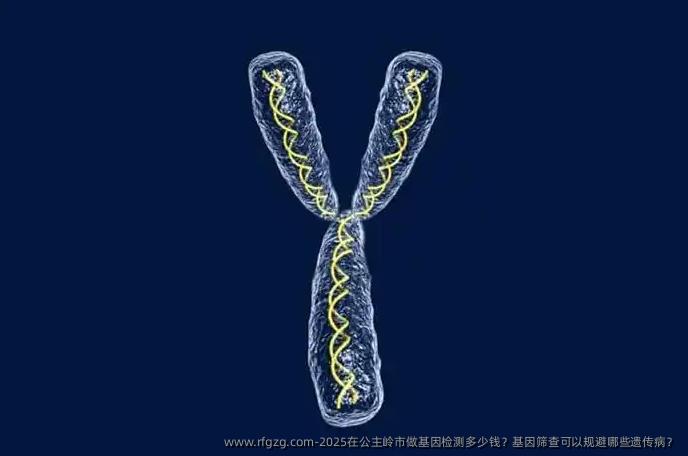 2025在公主岭市做基因检测多少钱？基因筛查可以规避哪些遗传病？