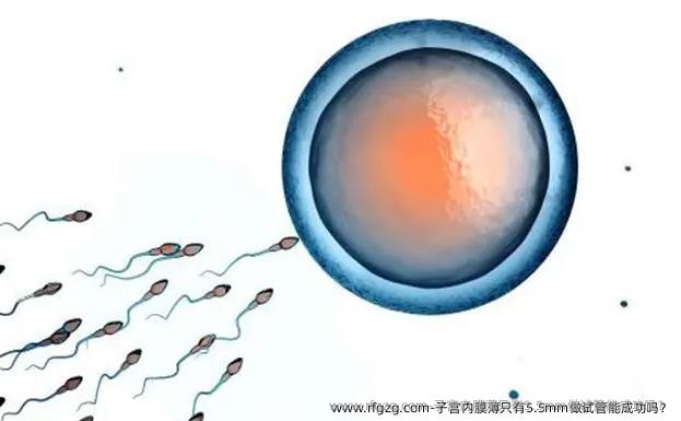 子宫内膜薄只有5.5mm做试管能成功吗？