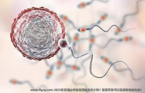 2025在石嘴山市做基因检测多少钱？基因筛查可以规避哪些遗传病？