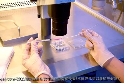 2025湖南省最新男性陪产假有多少天?试管婴儿可以增加产假吗？