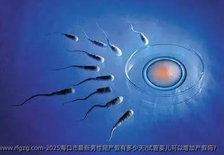 2025海口市最新男性陪产假有多少天?试管婴儿可以增加产假吗？