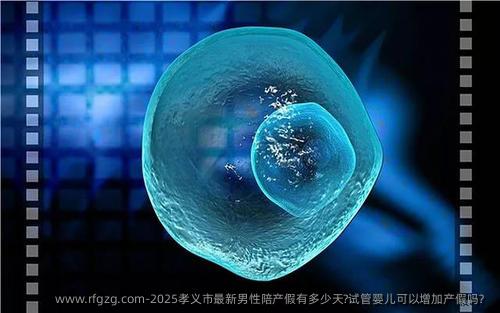 2025孝义市最新男性陪产假有多少天?试管婴儿可以增加产假吗？