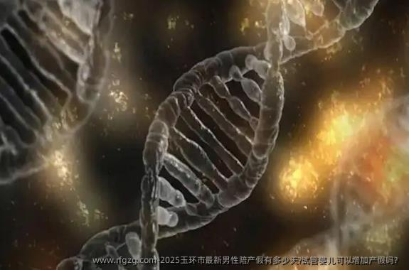 2025玉环市最新男性陪产假有多少天?试管婴儿可以增加产假吗？