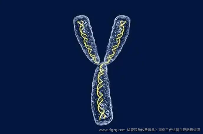 试管双胎收费清单？南京三代试管生双胎靠谱吗