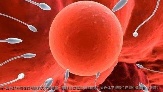 染色体易位在锦州医科大学附属第一医院可以做三代试管吗？染色体平衡易位还能生健康的宝宝吗？