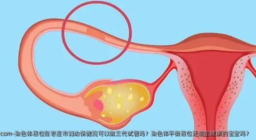 染色体易位在枣庄市妇幼保健院可以做三代试管吗？染色体平衡易位还能生健康的宝宝吗？