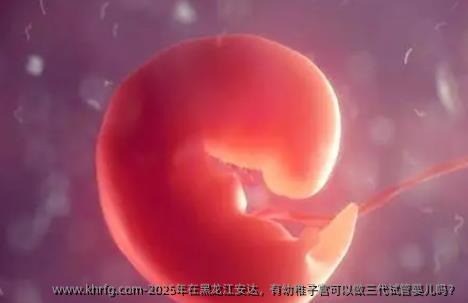 2025年在黑龙江安达，有幼稚子宫可以做三代试管婴儿吗？