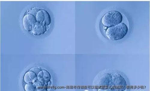 南阳市有哪些可以做试管婴儿的医院？费用多少钱？