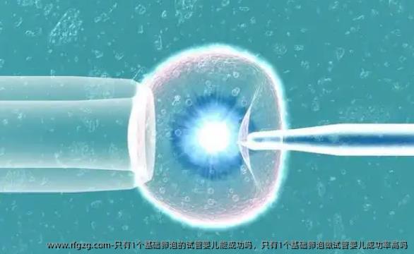 只有1个基础卵泡的试管婴儿能成功吗，只有1个基础卵泡做试管婴儿成功率高吗