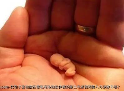 女性子宫肌瘤在攀枝花市妇幼保健院做三代试管预算八万块够不够？