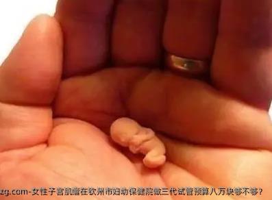 女性子宫肌瘤在钦州市妇幼保健院做三代试管预算八万块够不够？