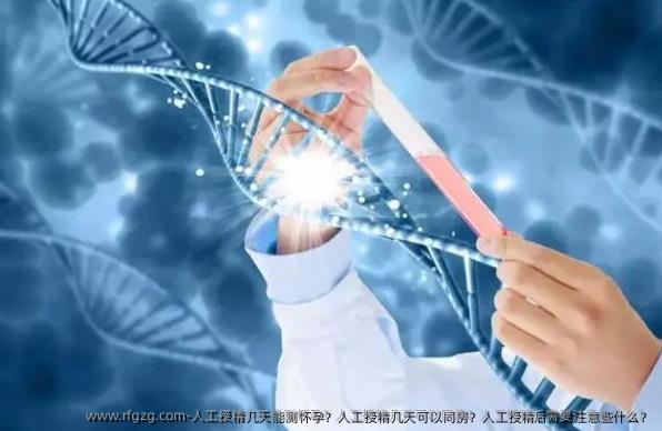 人工授精几天能测怀孕？人工授精几天可以同房？人工授精后需要注意些什么？