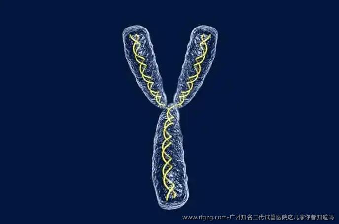 广州优秀三代试管医院这几家你都知道吗