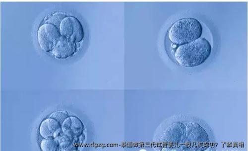 泰国做第三代试管婴儿一般几次成功？了解真相