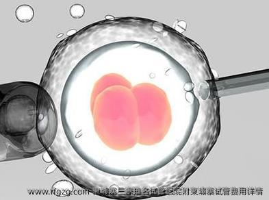 柬埔寨三家优秀试管医院及其费用详情