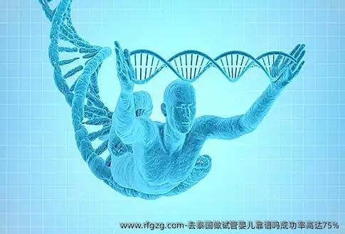 去泰国做试管婴儿靠谱吗？成功率高达75%