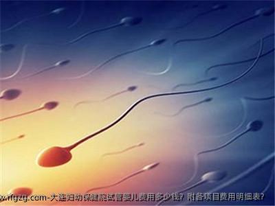 大连妇幼保健院试管婴儿费用多少钱？附各项目费用明细表？