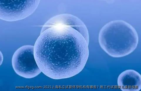 2025年上海私立试管怀孕机构有哪些？附三代试管婴儿最新收费