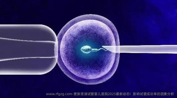 芜湖试管婴儿医院2025年最新动态及试管成功率影响因素分析