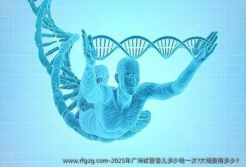 2025年广州试管婴儿多少钱一次?大概费用多少？