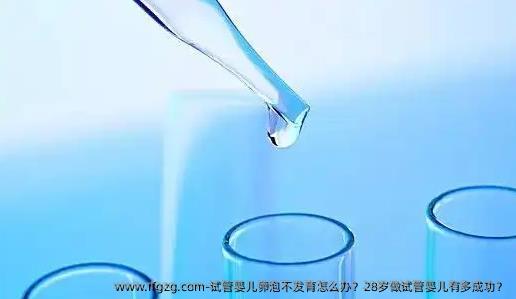 试管婴儿卵泡不发育怎么办？28岁做试管婴儿有多成功？