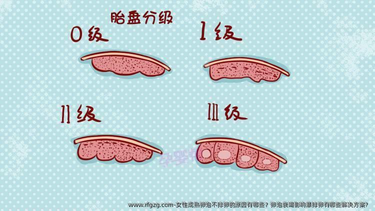 女性成熟卵泡不排卵的原因有哪些？卵泡衰竭影响瀑排卵有哪些解决方案？