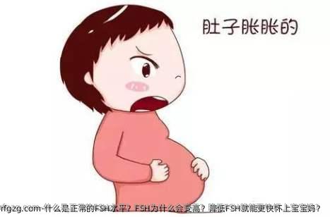 什么是正常的FSH水平？FSH为什么会变高？降低FSH就能更快怀上宝宝妈？