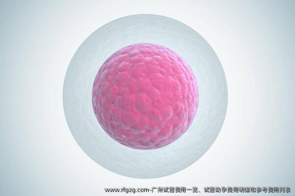 广州试管费用一览、试管助孕费用明细和参考费用列表