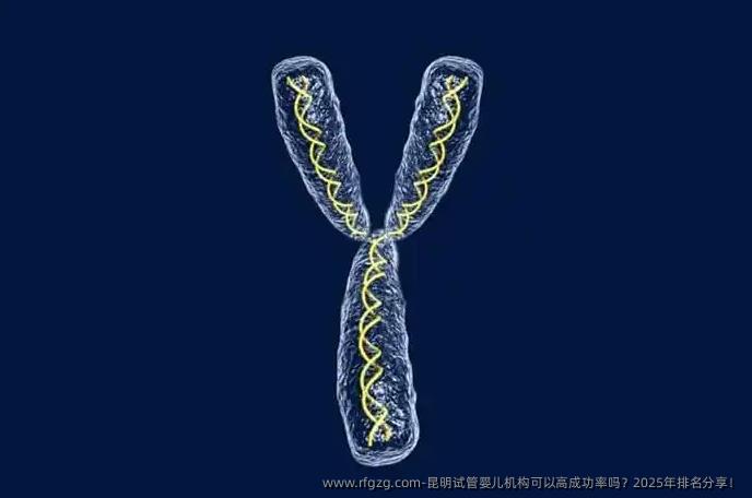 昆明试管婴儿机构可以高成功率吗？2025年排名分享！